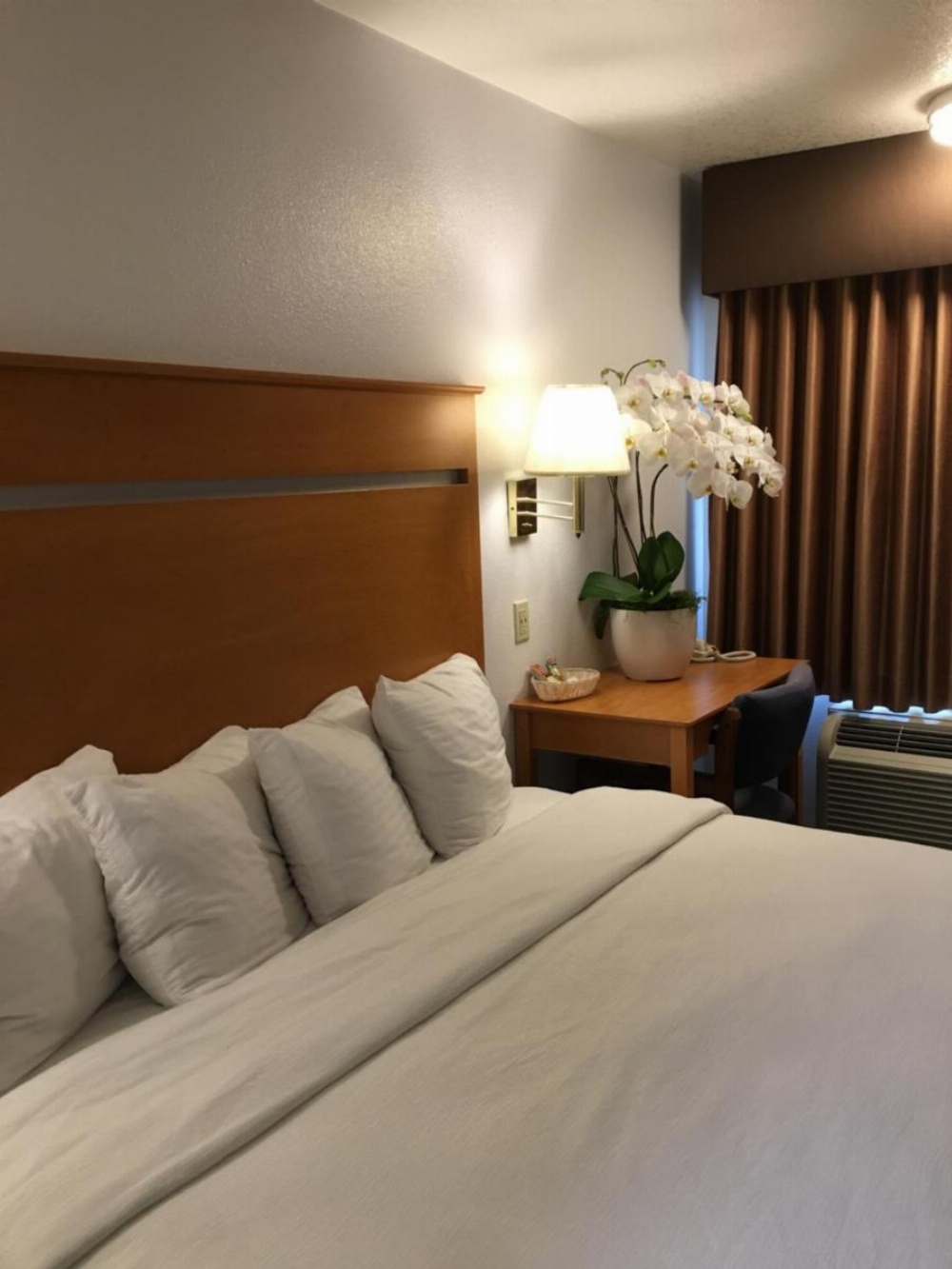OceanView Motel Image 45